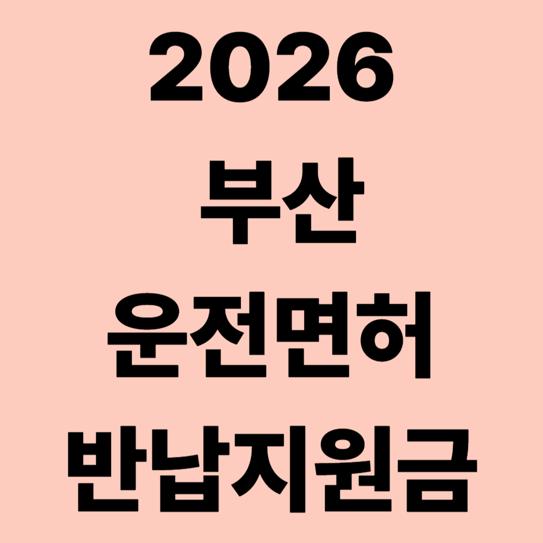 2026 부산 운전면허 반납지원금