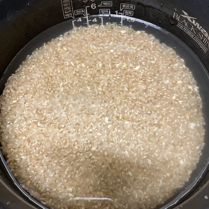 전기밥솥 안에 물에 불리고 있는 100% 현미 쌀