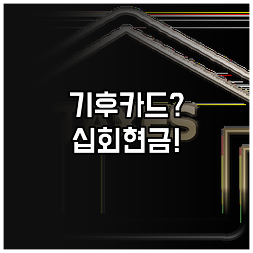 기후동행카드 환급 조건 완화, 월 1..