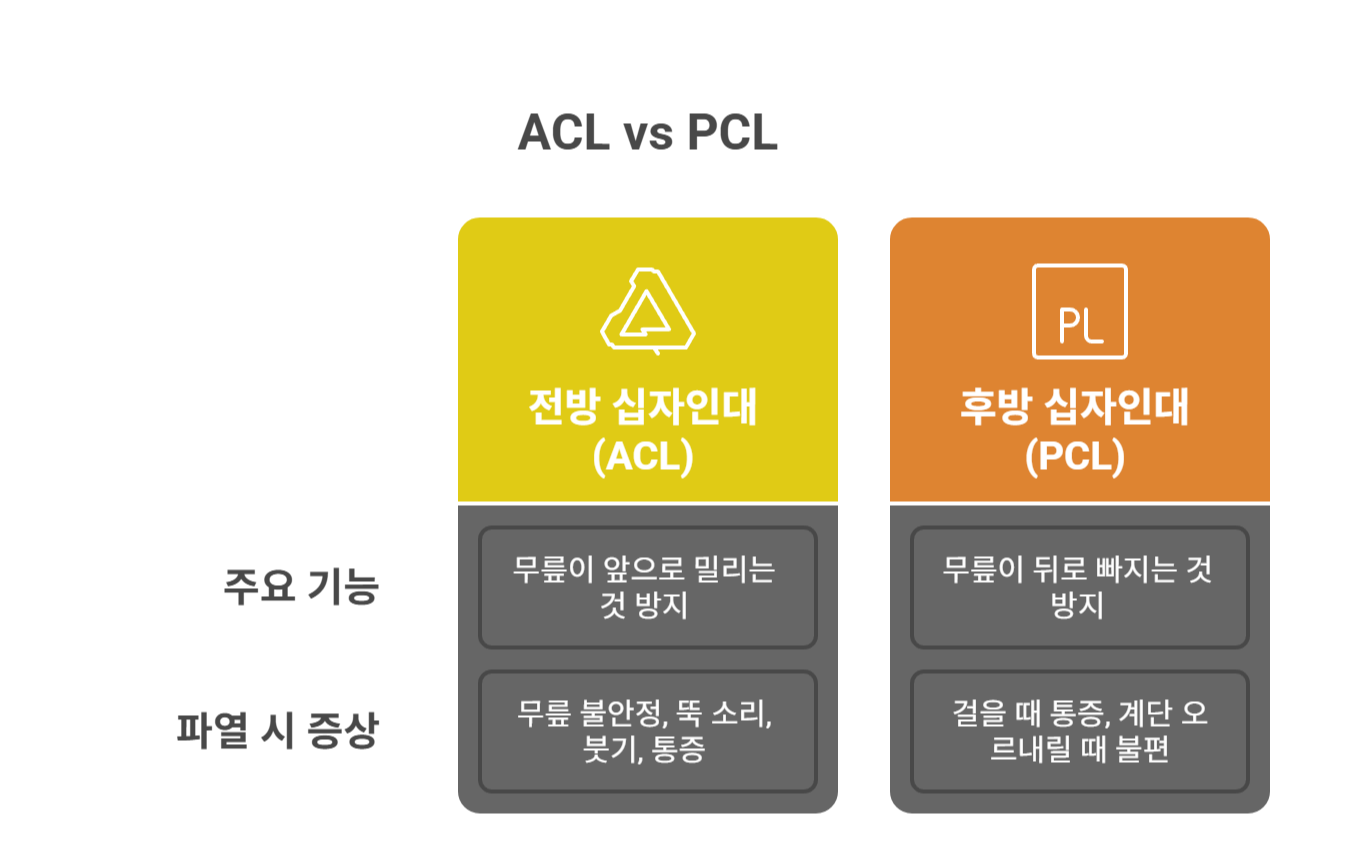 십자인대 파열, 어떤 증상일까?