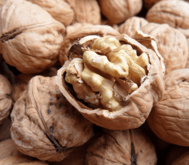 생방송오늘저녁 김천 호두농장