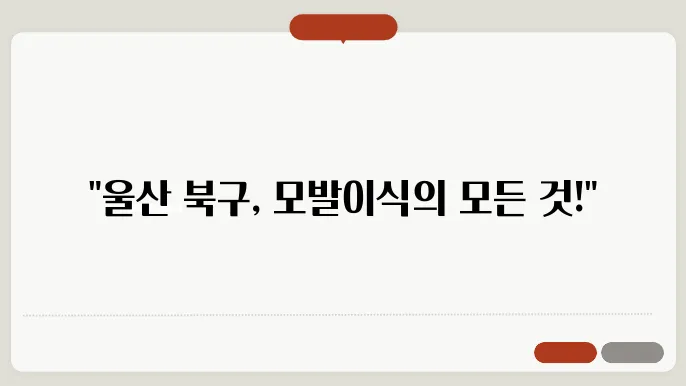 울산 북구 모발이식 잘하는곳, 비용,1000모 2000모 가격 ,모발이식 종류(절개,비절개)