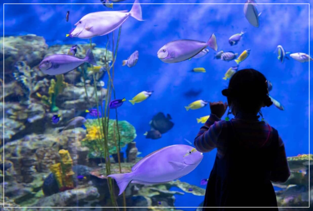 여수 가볼만한곳 베스트10 아쿠아플라넷 여수