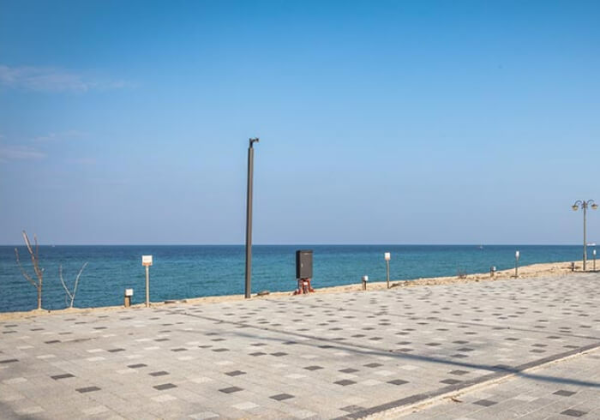 연곡 솔향기캠핑장 차박 캠핑장