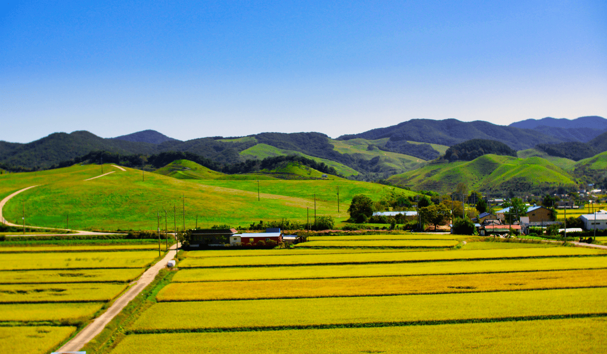 지적도_무료열람_3