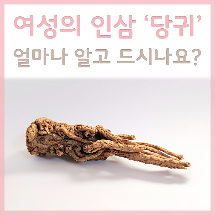 당귀-뿌리-모습