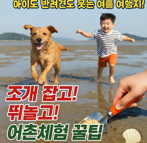 가족과 반려견 모두 즐기는 어촌체험｜갯벌+조개잡이 꿀팁