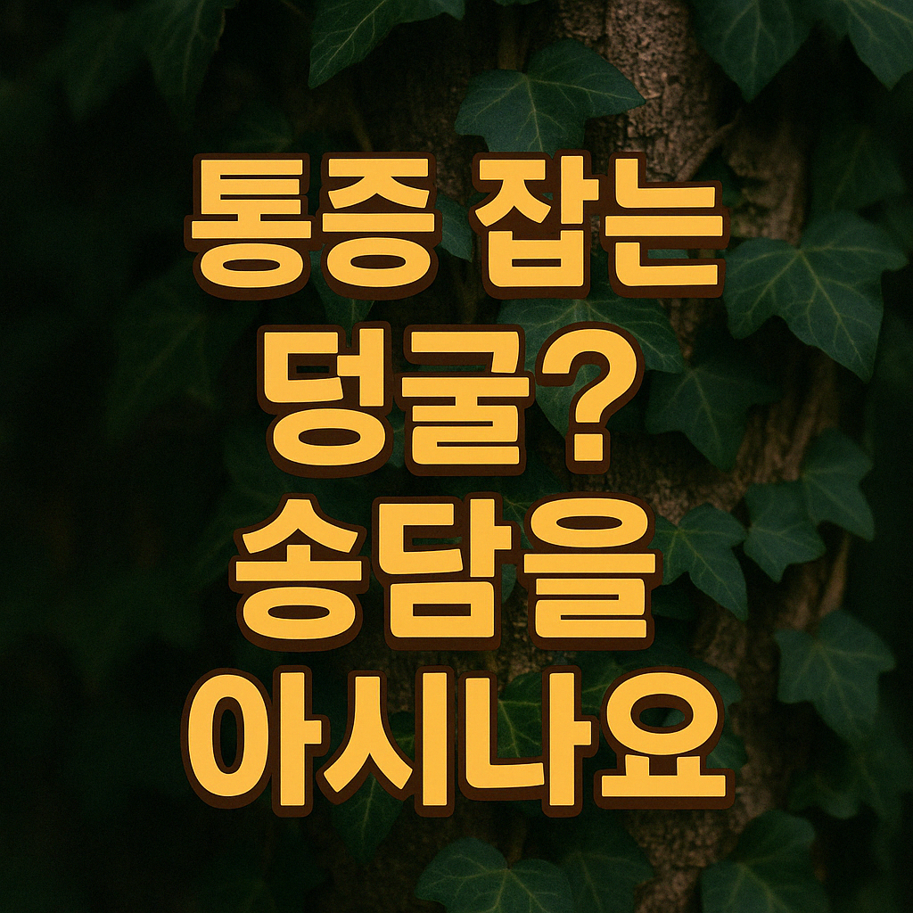 송담 효능 복용법