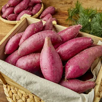 고구마 삶는법 맛있게 황금레시피 효능 칼로리_12