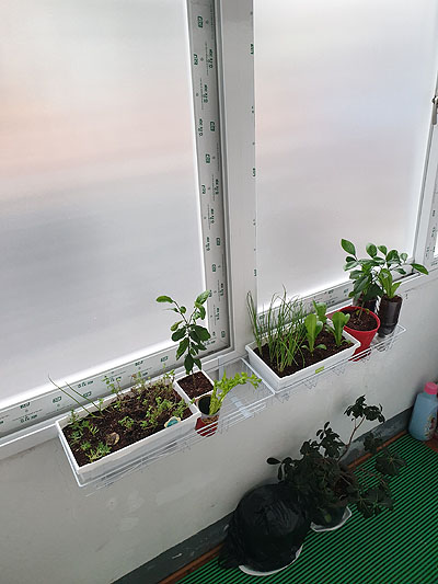 베란다 텃밭 초기 모습