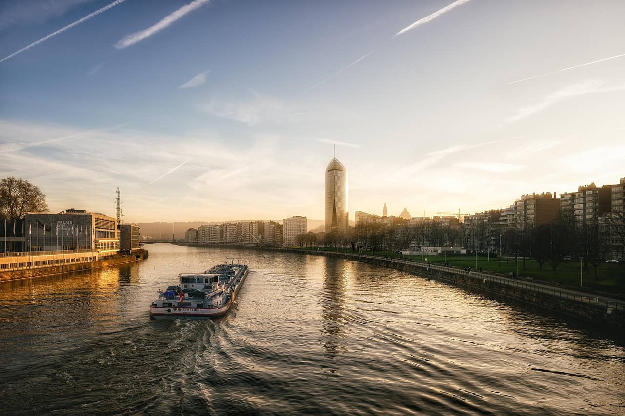 뇌혈류 생리학과 건강 – 생각과 의식의 에너지 순환