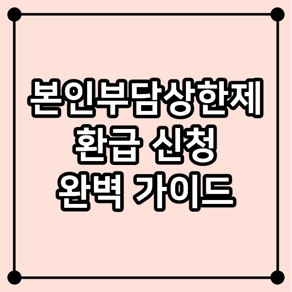 본인부담상한제 환급 신청 완벽 가이드