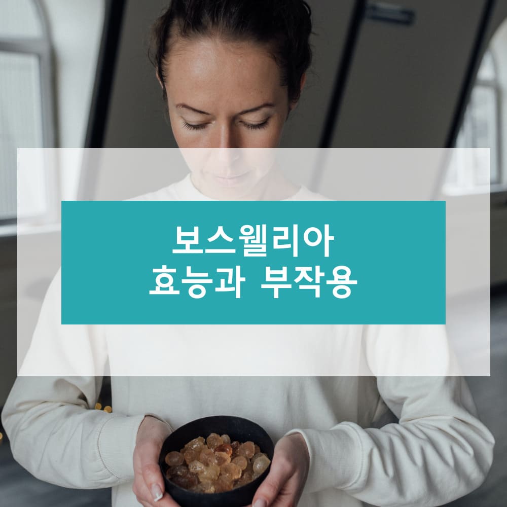 보스웰리아 효능과 부작용
