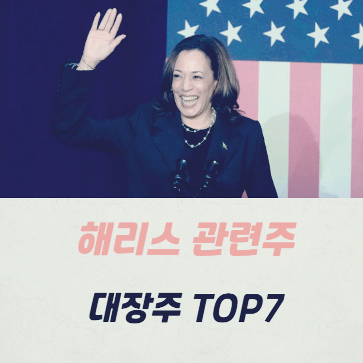 해리스 관련주 미국 대선 주식 TOP7