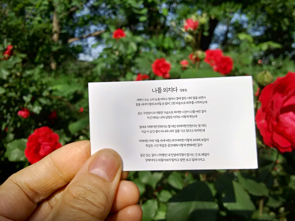 정홍일-나를 외치다
