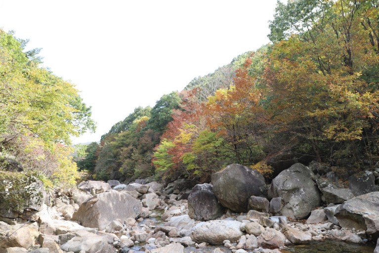 지리산 단풍시기