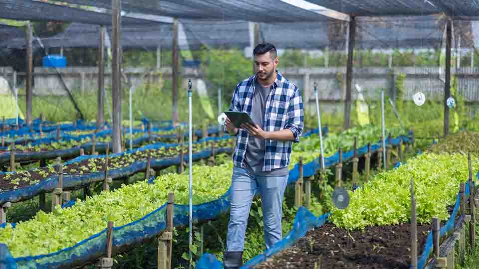 스마트팜과 탄소중립: 순환형 에너지 농업의 가능성