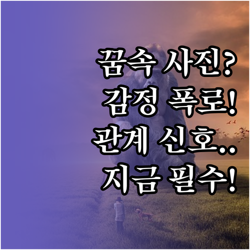 꿈속 사진 행동이 알려주는 현재 감정..