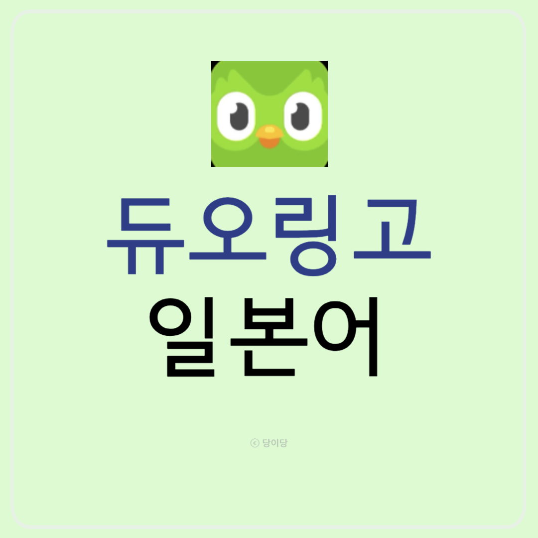 듀오링고 일본어 공부 후기 일본어공부어플