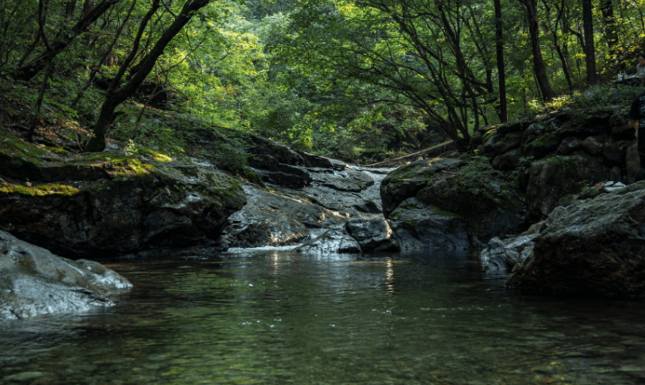 남양주 비금계곡