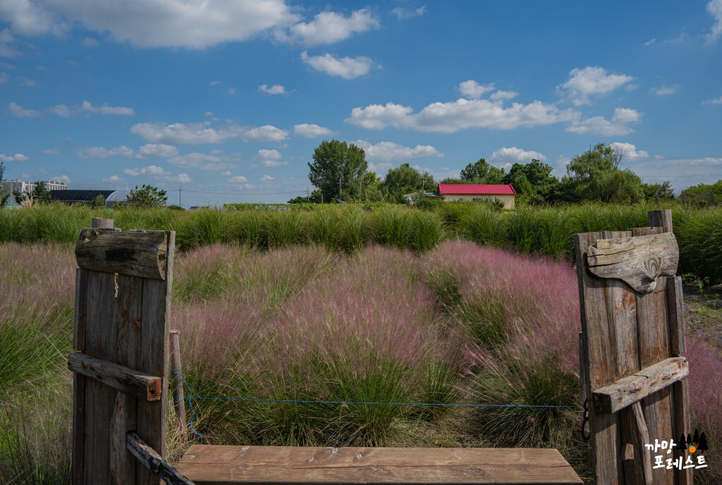 평택 바람새 마을 포토존