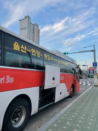 울산 공항 공항버스 리무진 시간표 예매 요금 타는곳_19
