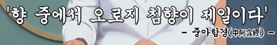침향이란?