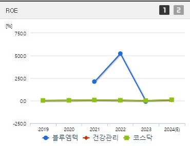 블루엠텍 주가 ROE