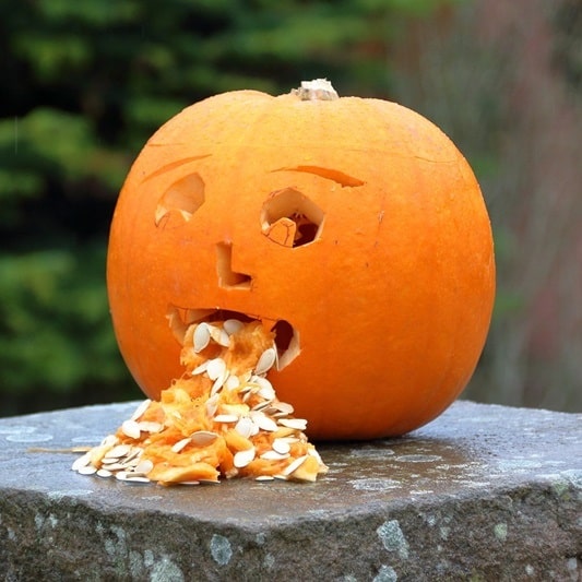 간경화 초기증상 냄새