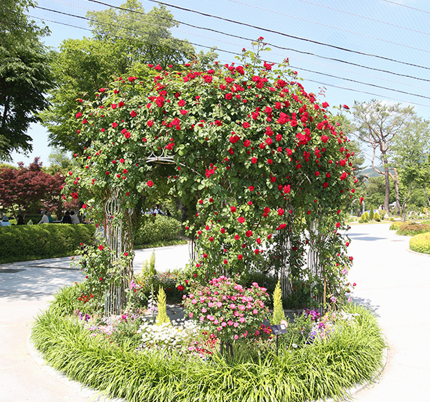 서울대공원 테마가든