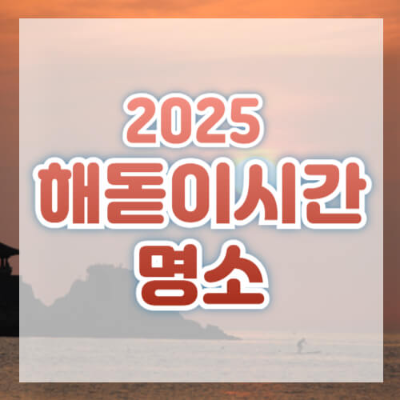 2025년 해돋이 시간
2025년 1월 1일 해돋이 시간
지역별 해돋이 시간 2025
새해 해돋이 명소
2025년 해돋이 명소 추천
정동진 해돋이
호미곶 해돋이
간절곶 해돋이
성산일출봉 해돋이
낙산사 해돋이
오이도 해돋이
무등산 해돋이
변산반도 해돋이
송도 달빛공원 해돋이
마라도 해돋이
해돋이 명소 강원도
해돋이 명소 제주도
해돋이 명소 포항
해돋이 명소 울산
새해 해돋이 준비 팁
새해 해돋이 사진 찍는 법
2025년 새해 해돋이
새해 해돋이 관람 팁
해돋이 명소 광주
해돋이 명소 인천
새해 소망 해돋이
해돋이 사진 촬영
2025년 새해 첫날 해돋이