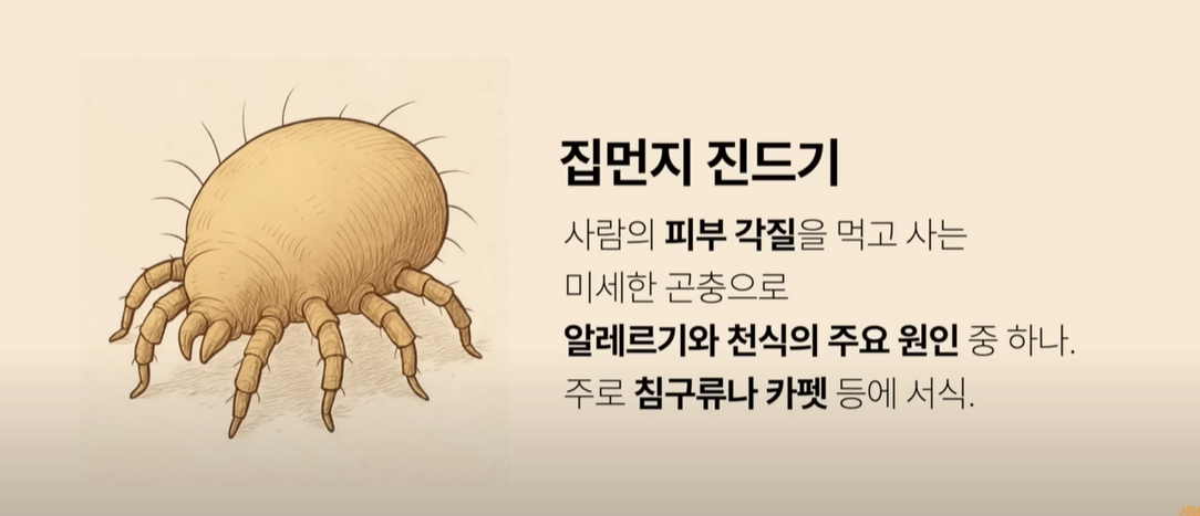 비염 침대 매트리스 커버 추천