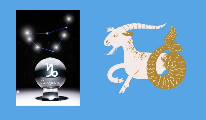 바다염소자리 게자리 바다염소자리그림