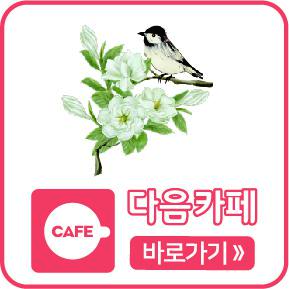 다음카페