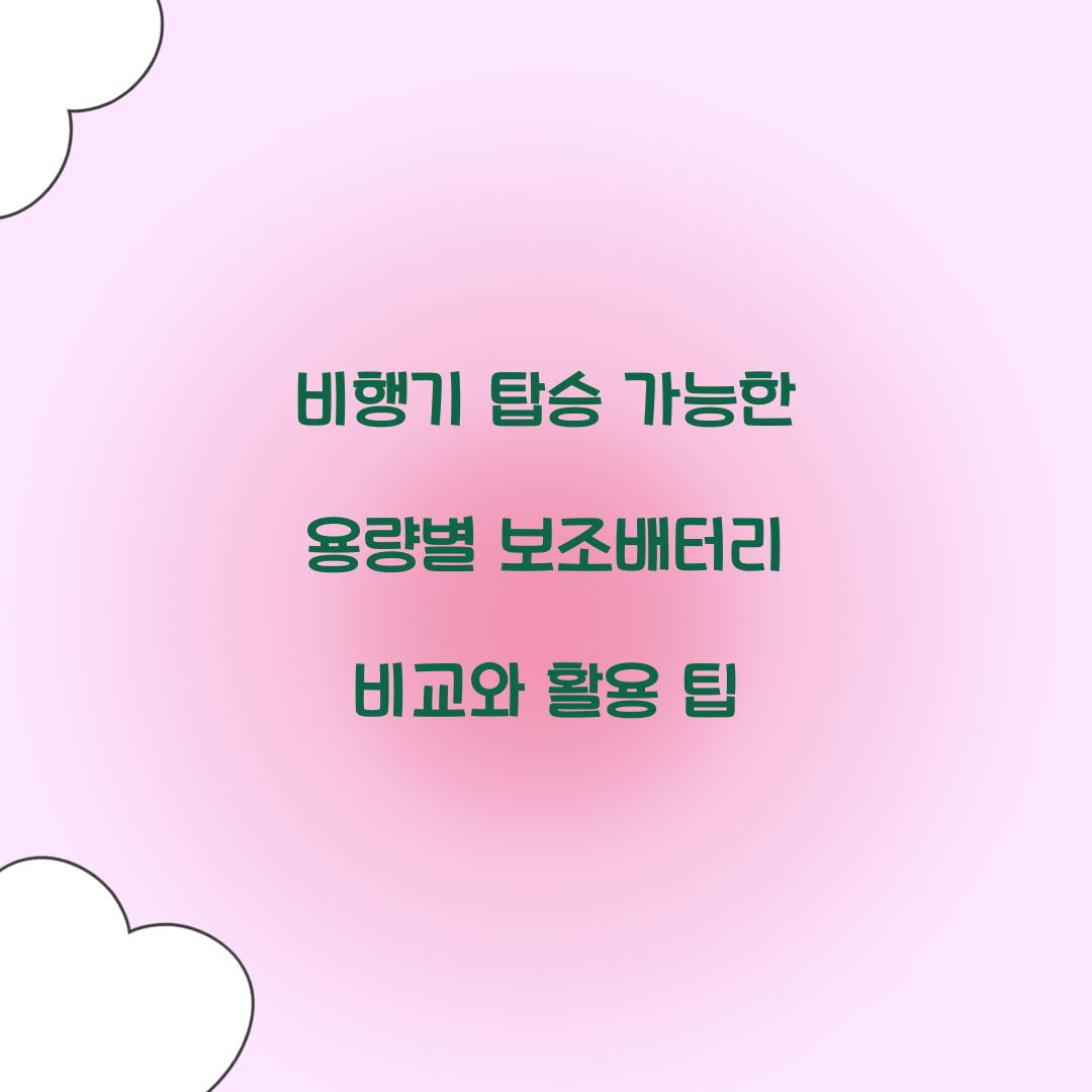 비행기 탑승 가능한 용량별 보조배터리 비교