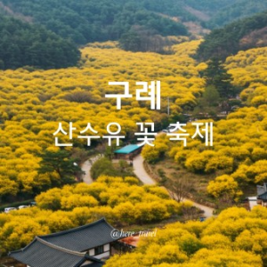 구례산수유꽃축제