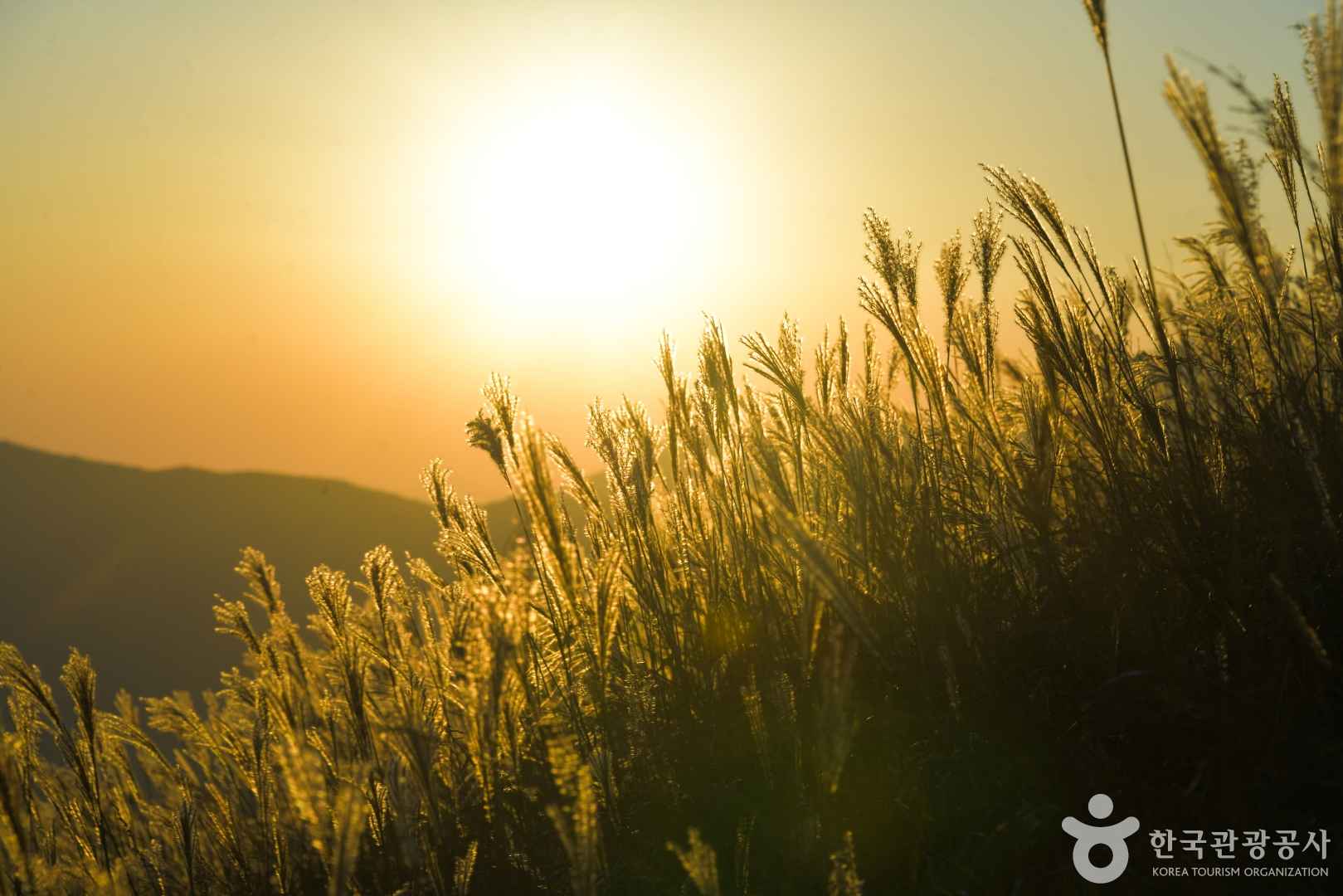 간월재