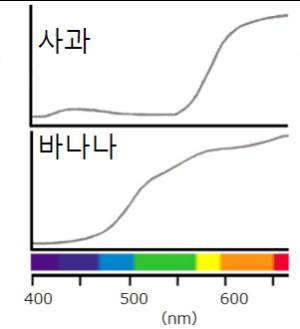 그래프