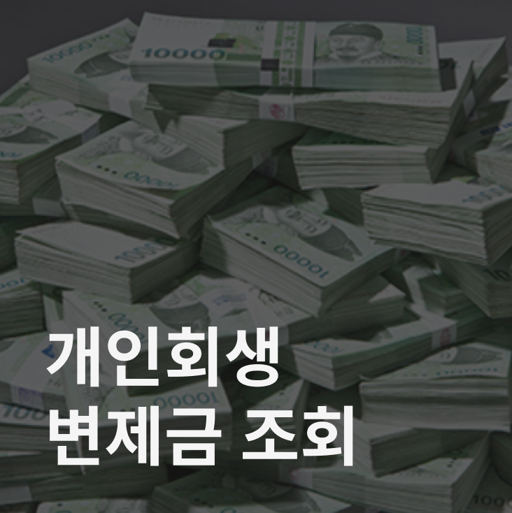 개인회생 변제금