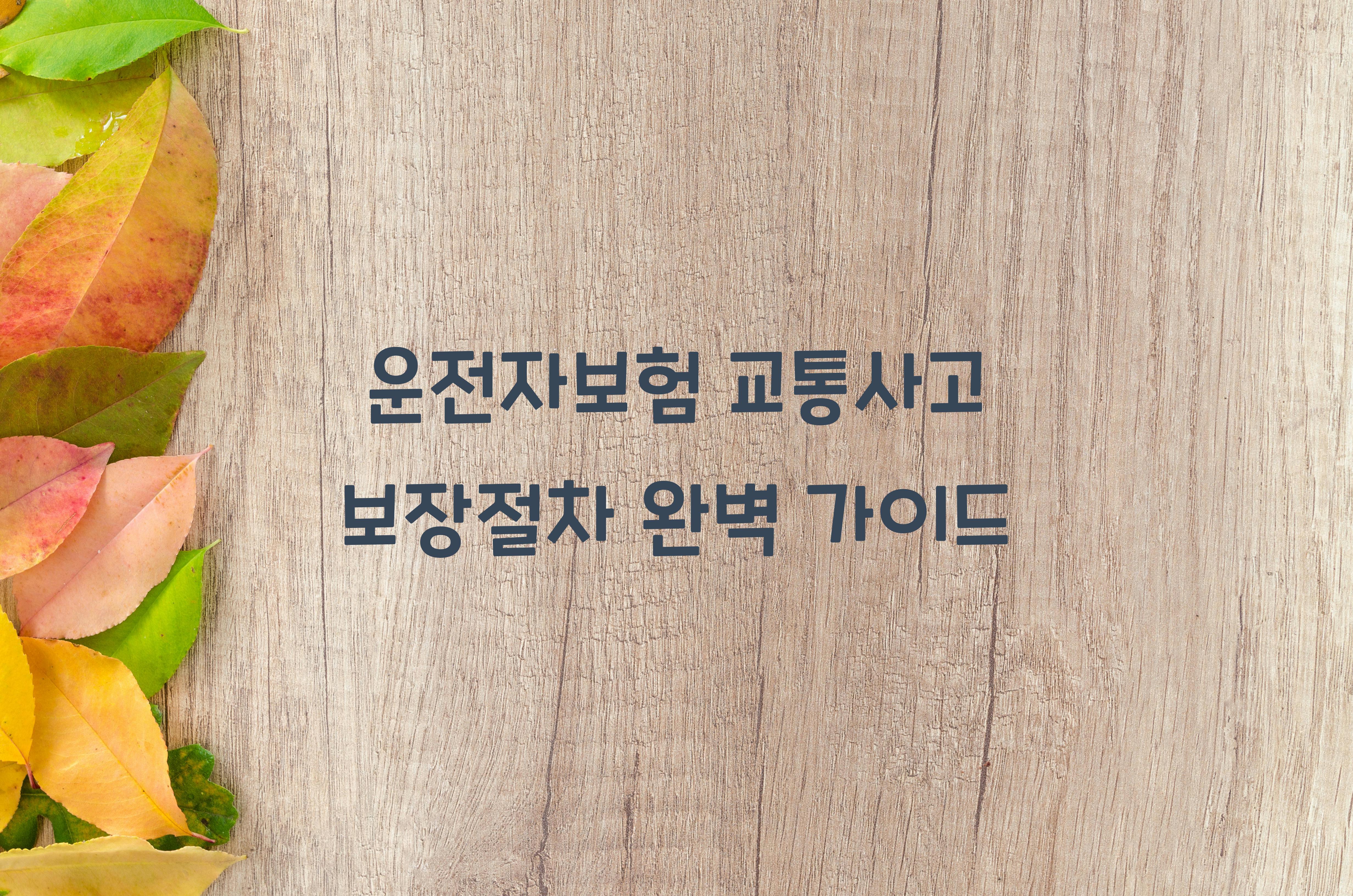 운전자보험 교통사고 보장절차