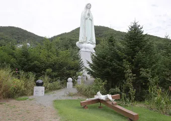 천진암 흰민들레 백양자연관찰로 괭이눈 개화_9