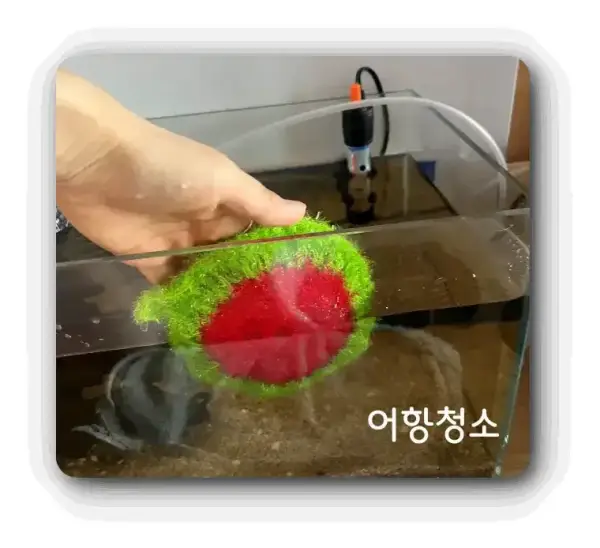 어항청소