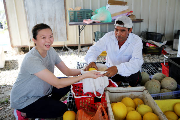 민생회복 소비쿠폰