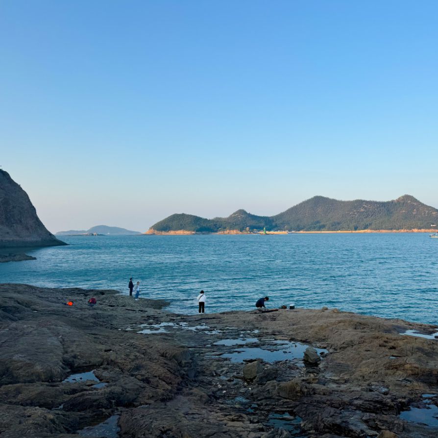 장자도