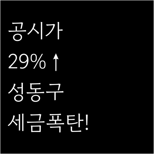 공시가격 29% 상승 성동구 재산세 ..