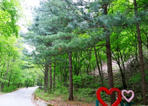 양평 산음치유의 숲