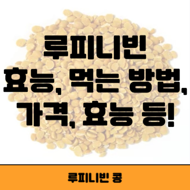 루피니빈 썸네일