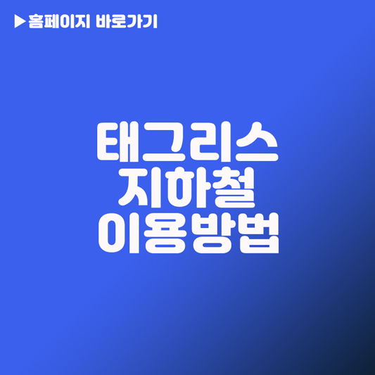 태그리스 지하철 이용 방법