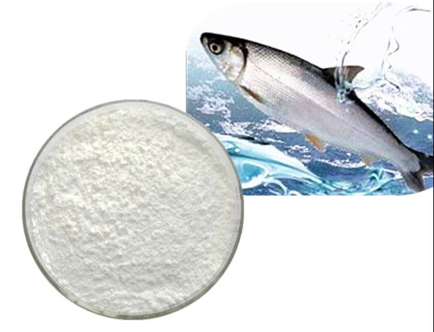 저분자 어린 콜라겐이란