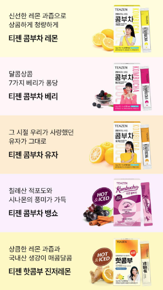 티젠 콤부차 종류 및 성분